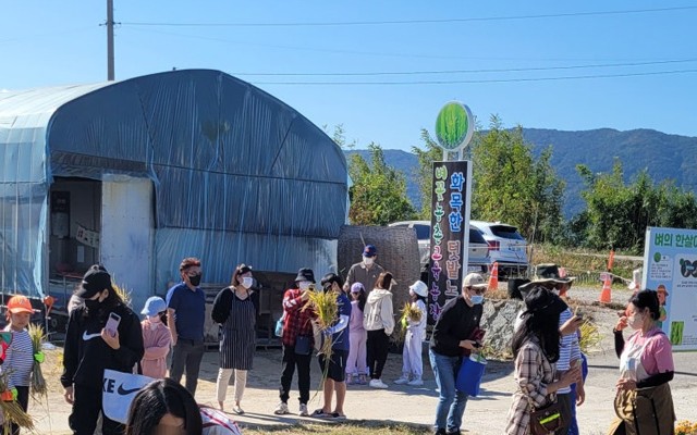 벼꽃농촌교육농장