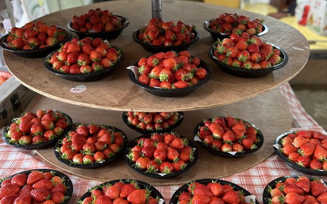 1943 밀양딸기마을