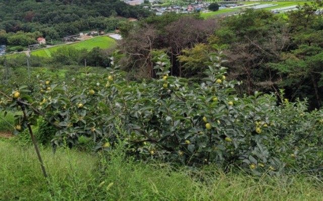 감고을교육농장