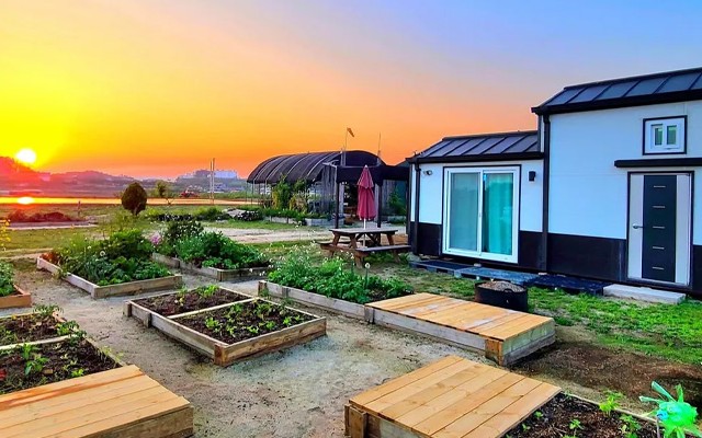 토마스교육치유농장